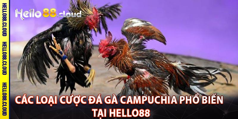Các loại cược đá gà Campuchia phổ biến  tại Hello88